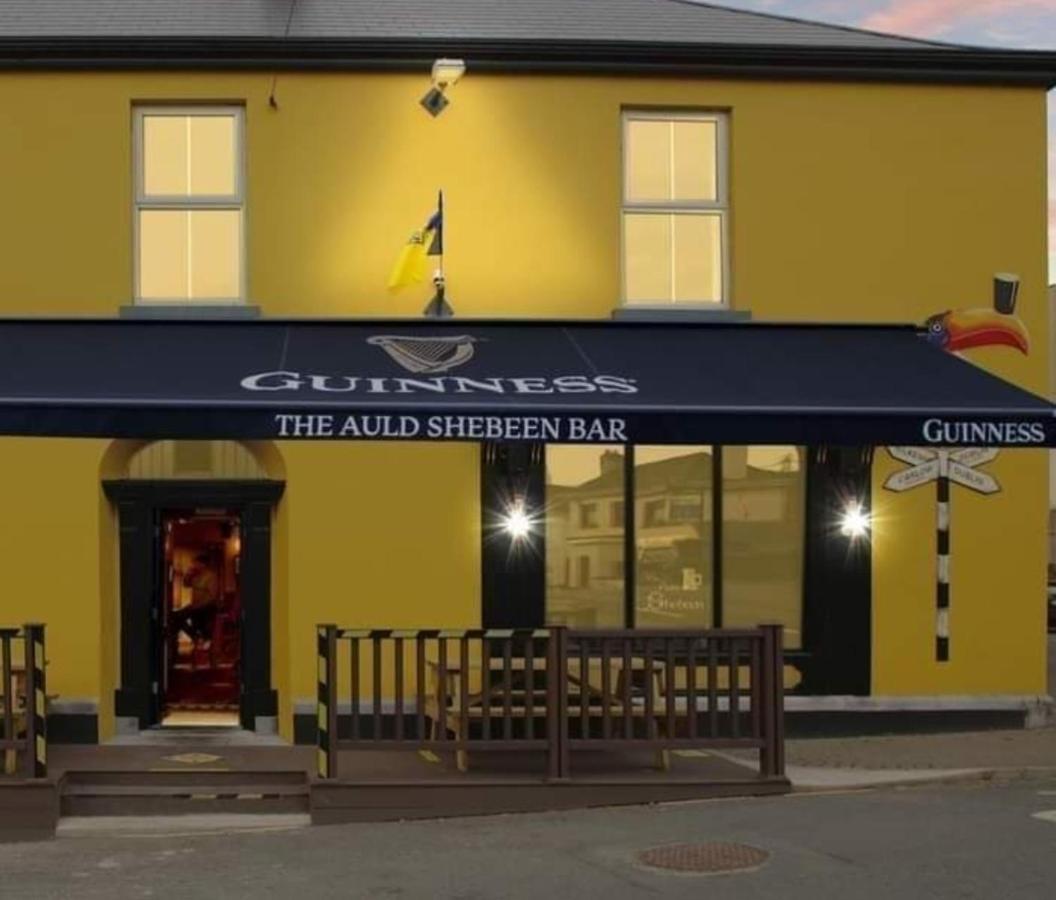 The Canalside B&B At The Auld Shebeen Bar Athy Kültér fotó