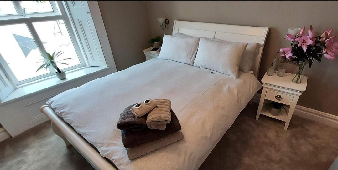 The Canalside B&B At The Auld Shebeen Bar Athy Kültér fotó